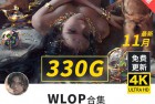 [VIP资源] [原画设计]【鬼刀WLOP】超豪华300g+原画插画+教程视频+笔刷