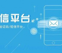 [工具福利] 【合集】国内外短信接码平台