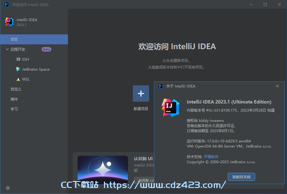 [编程开发] IntelliJ IDEA 2023.3.3 IDea2023中文激活版