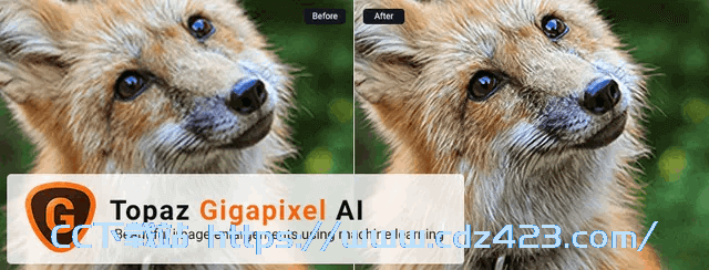 [图像处理] Topaz Gigapixel AI破解版V7.0.2 绿色便携版